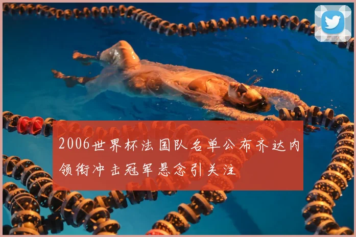 2006世界杯法国队名单公布齐达内领衔冲击冠军悬念引关注