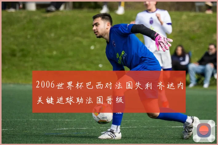 2006世界杯巴西对法国失利 齐达内关键进球助法国晋级
