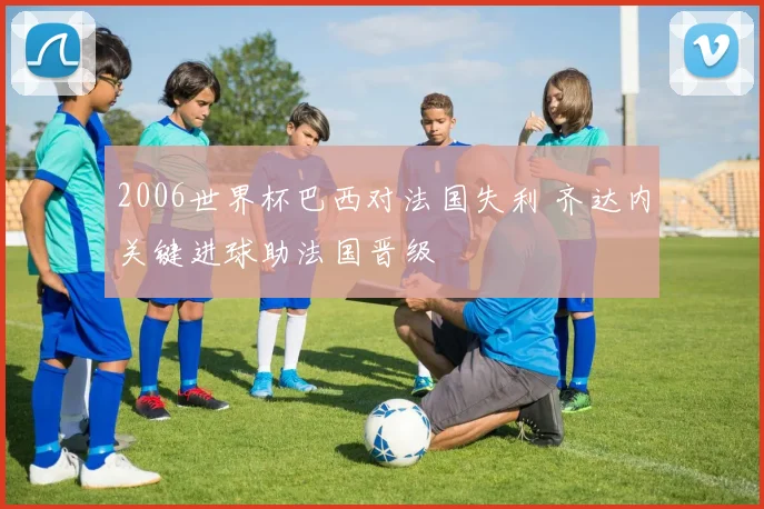 2006世界杯巴西对法国失利 齐达内关键进球助法国晋级