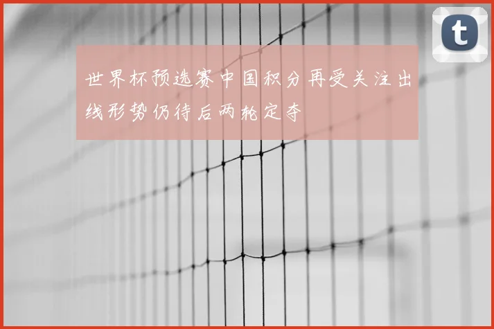世界杯预选赛中国积分再受关注出线形势仍待后两轮定夺