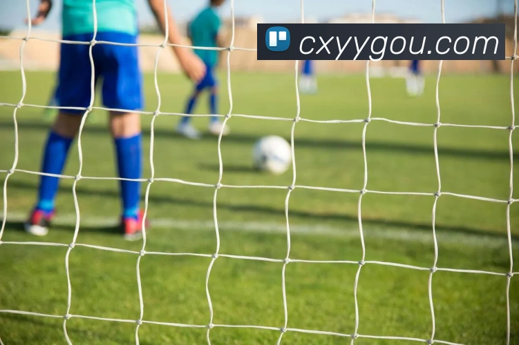 乐竞手机网页版入口平台生态图